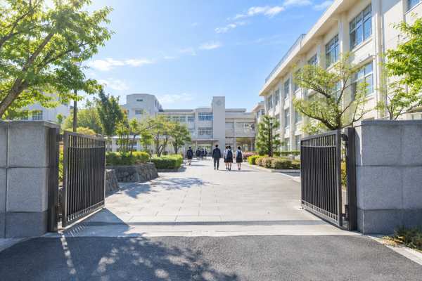 朝の日差しの中、開いた校門の先に校舎へ続く道と登校する生徒たちが見える様子